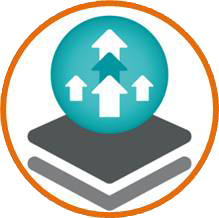 Наколенник Oneplus OPL480 Orliman, изображение - 4